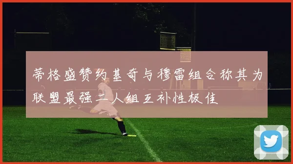 蒂格盛赞约基奇与穆雷组合称其为联盟最强二人组互补性极佳